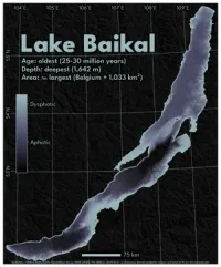 A dark map of Lake Baikal. Titled: 'Lake Baikal' with subtitle: 'Age: oldest (25-30 million years) Depth: deepest (1,642 m) Area: 7th largest (Belgium + 1,033 km2)'. The bathymetry is coloured from dark black at the deepest through a purple-y gray to gray for the shallow regions. A colorbar has the 'dysphotic' and 'aphotic' zones roughly labelled. It spans latitude 52-56 N and longitudes 104-110 E. (approx). A dark, mostly black, subtle hillshade is applied to the surrounding landscape. The lake cuts a roughly diagonal line from the bottom left of the frame to the top right, and it is very narrow compared to its length. Credits at the bottom read: 'by:tlohde / GEBCO Bathymetric Compilation Group 2025 (2025): The GEBCO_2025 Grid - a continuous terrain model for oceans and land at 15 arc-second intervals'