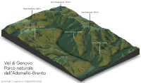A 3d model of mountainous terrain showing a sinuous valley with its surrounding peaks. Titled: 'Val di Genova, Parco naturale dell'Adamello-Brenta' credits: 'by:tlohde / Copernicus Global DEM (ESA)' Labelled peaks are: Cima Presanella (3557 m), Monte Mandrone (3283 m), Cima Lancia (2318 m), Crozzon del Diavolo (3018 m), Corno di Lago Scuro (3164 m) & Cimon delle Gere (3016 m)